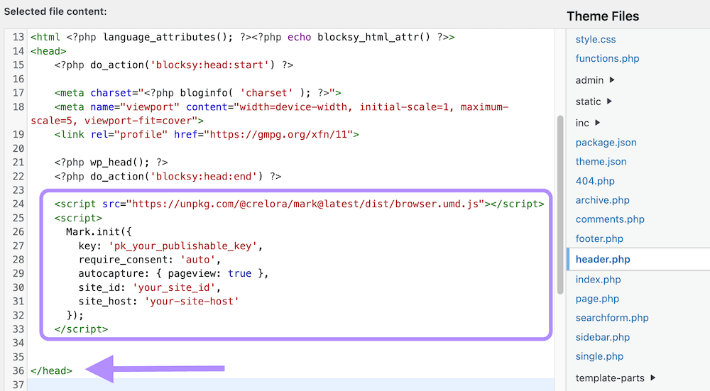 Insert snippet into header.php file on wordpress